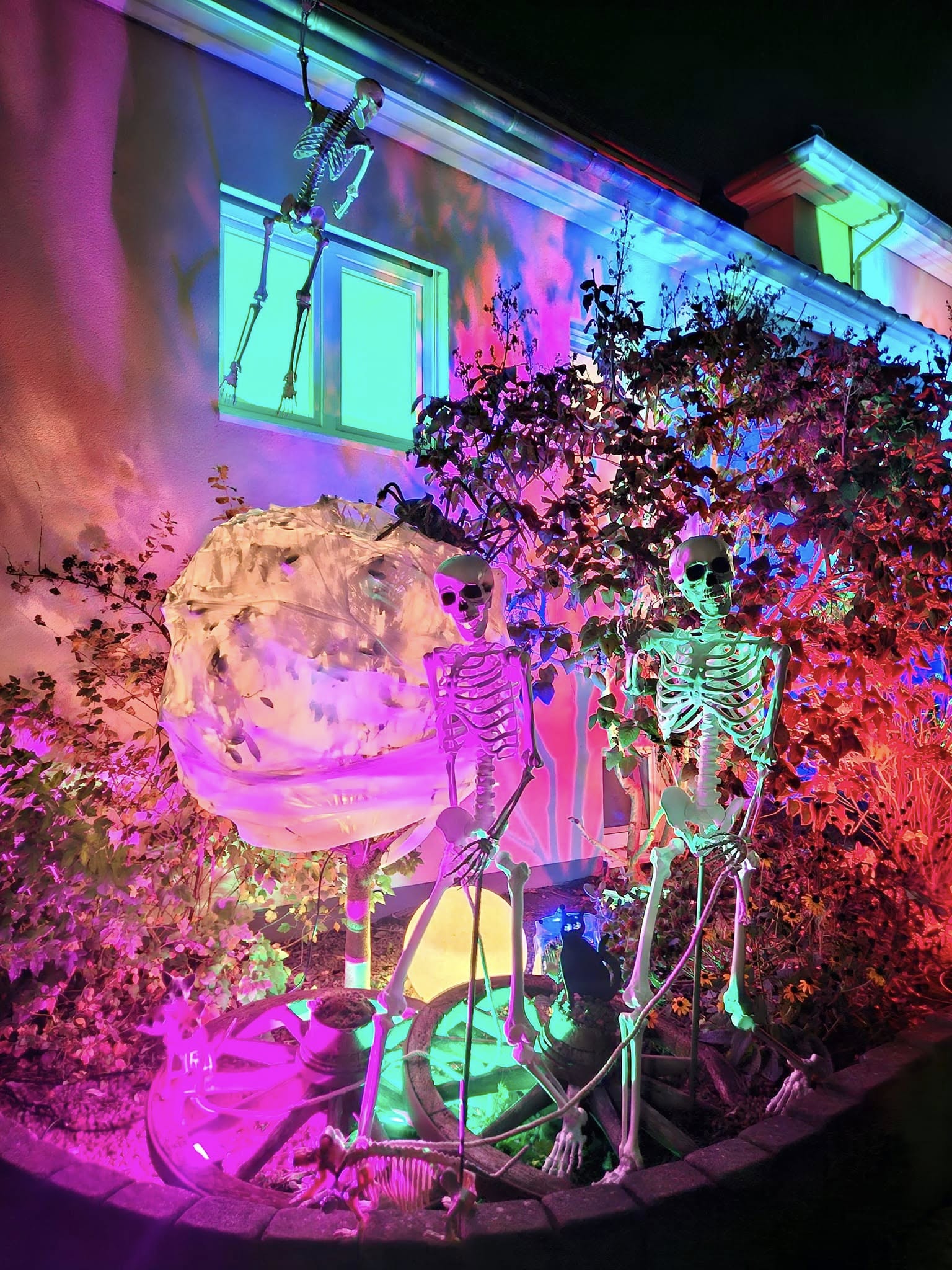 Welcome! Image of house front